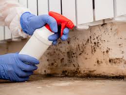 Best Biohazard Mold Removal  in Princeton, WI